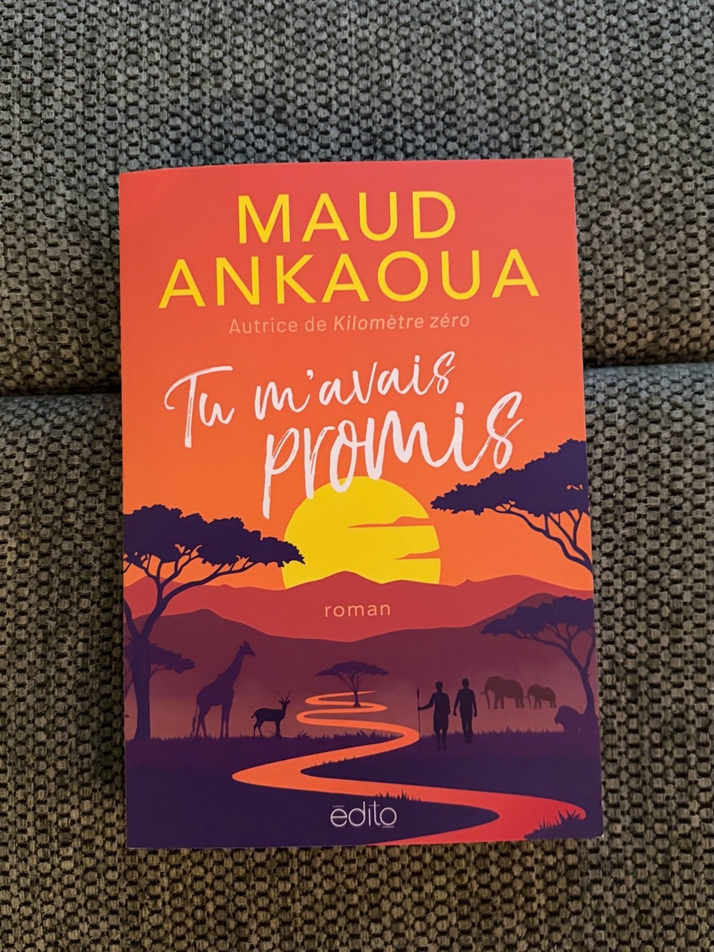 Tu m'avais promis by Maud Ankaoua - French book